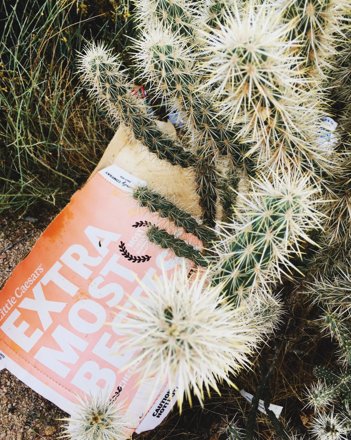 Processed with VSCO with 4 preset