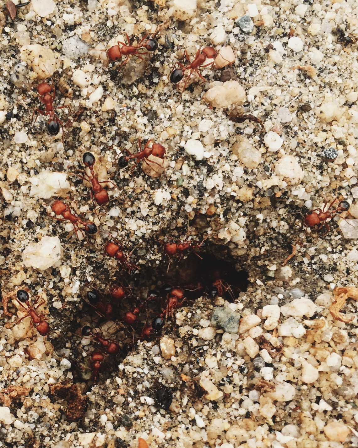 Processed with VSCO with 4 preset