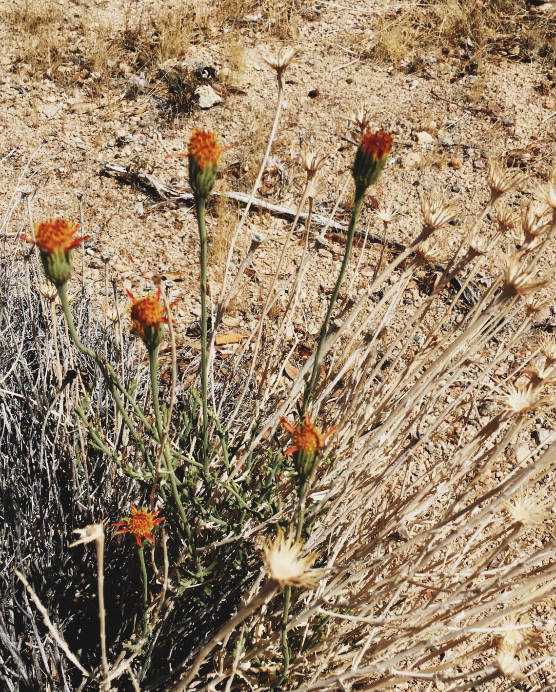 Processed with VSCO with 4 preset