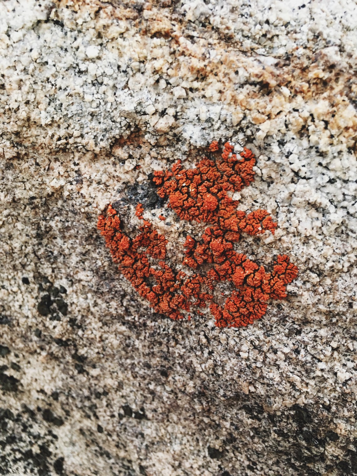 Processed with VSCO with 4 preset