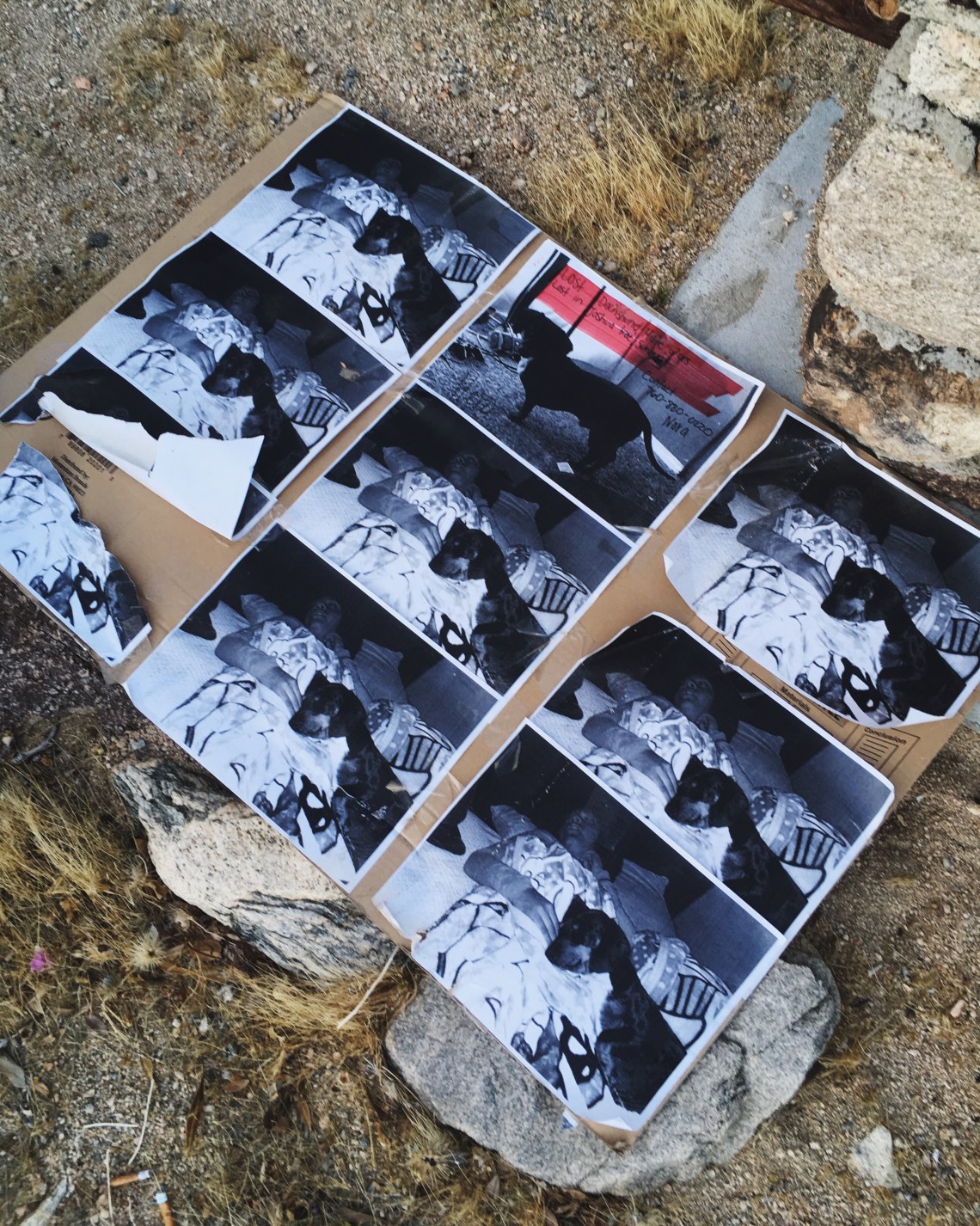 Processed with VSCO with 4 preset