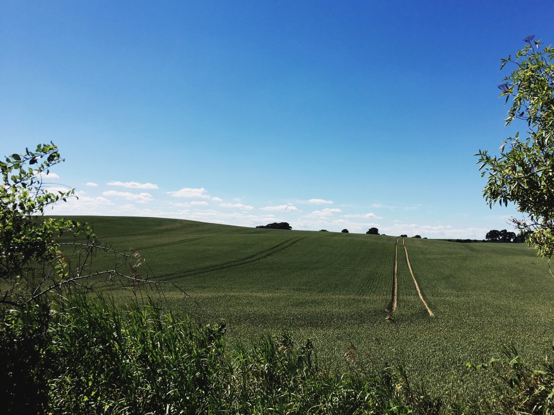 Processed with VSCO with 4 preset