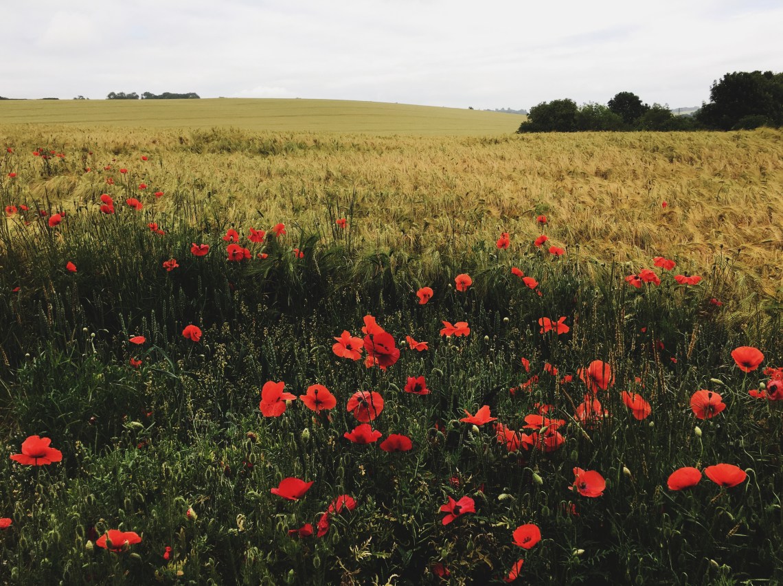 Processed with VSCO with 4 preset