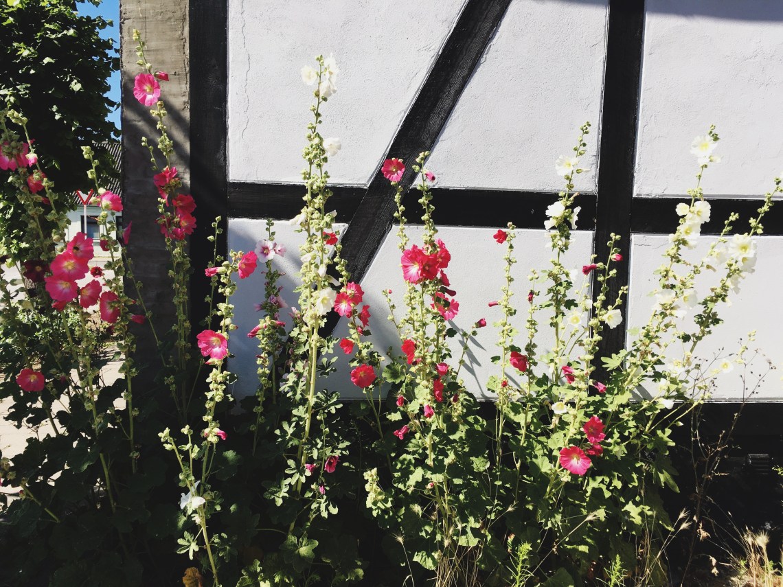 Processed with VSCO with 4 preset