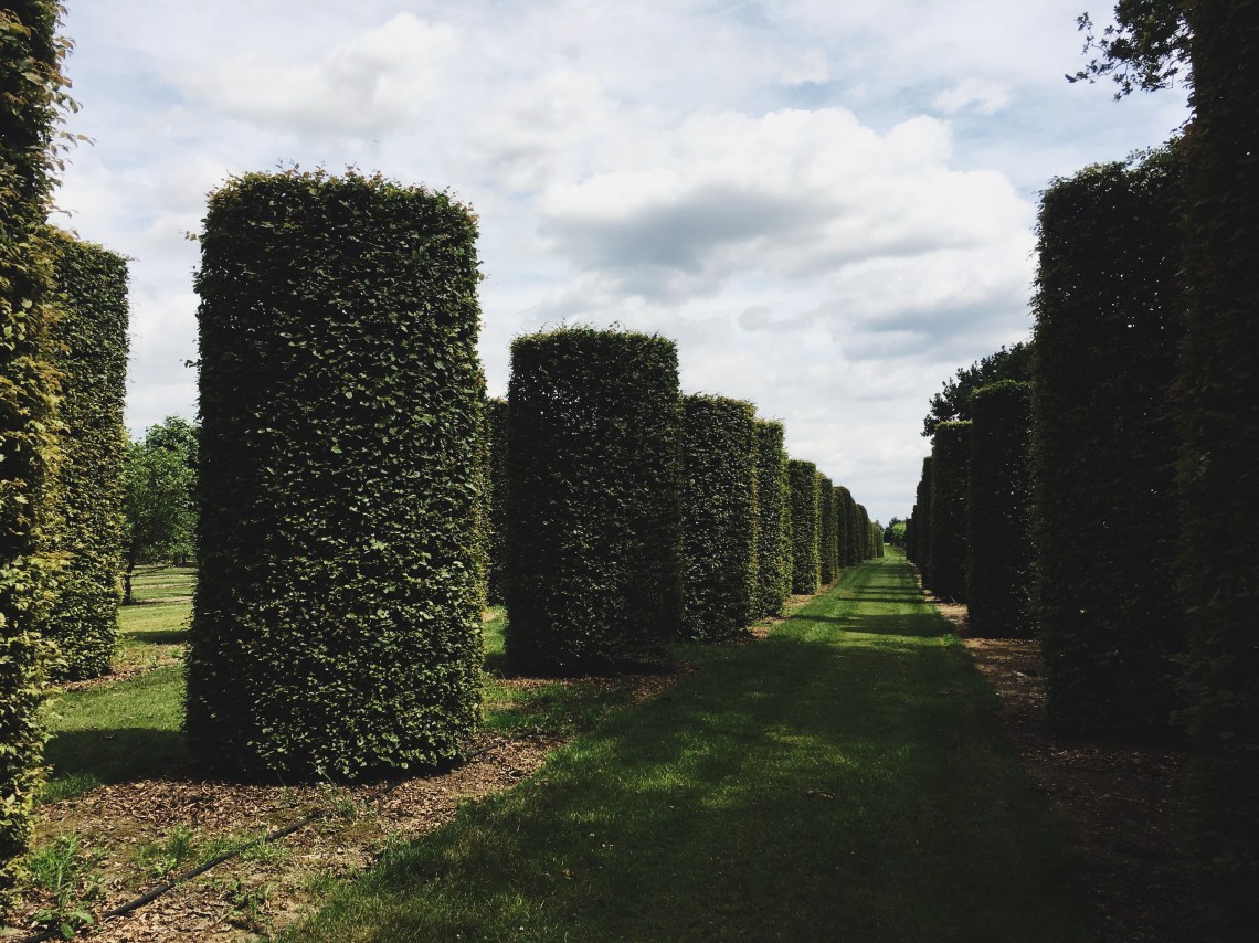 Processed with VSCO with 4 preset