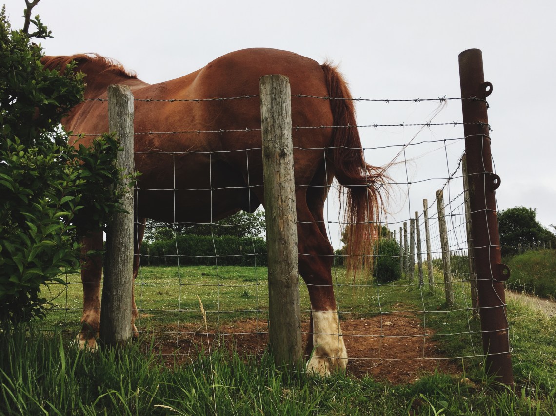 Processed with VSCO with 4 preset