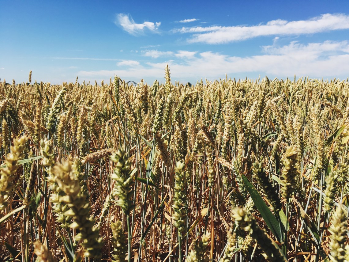 Processed with VSCO with 4 preset