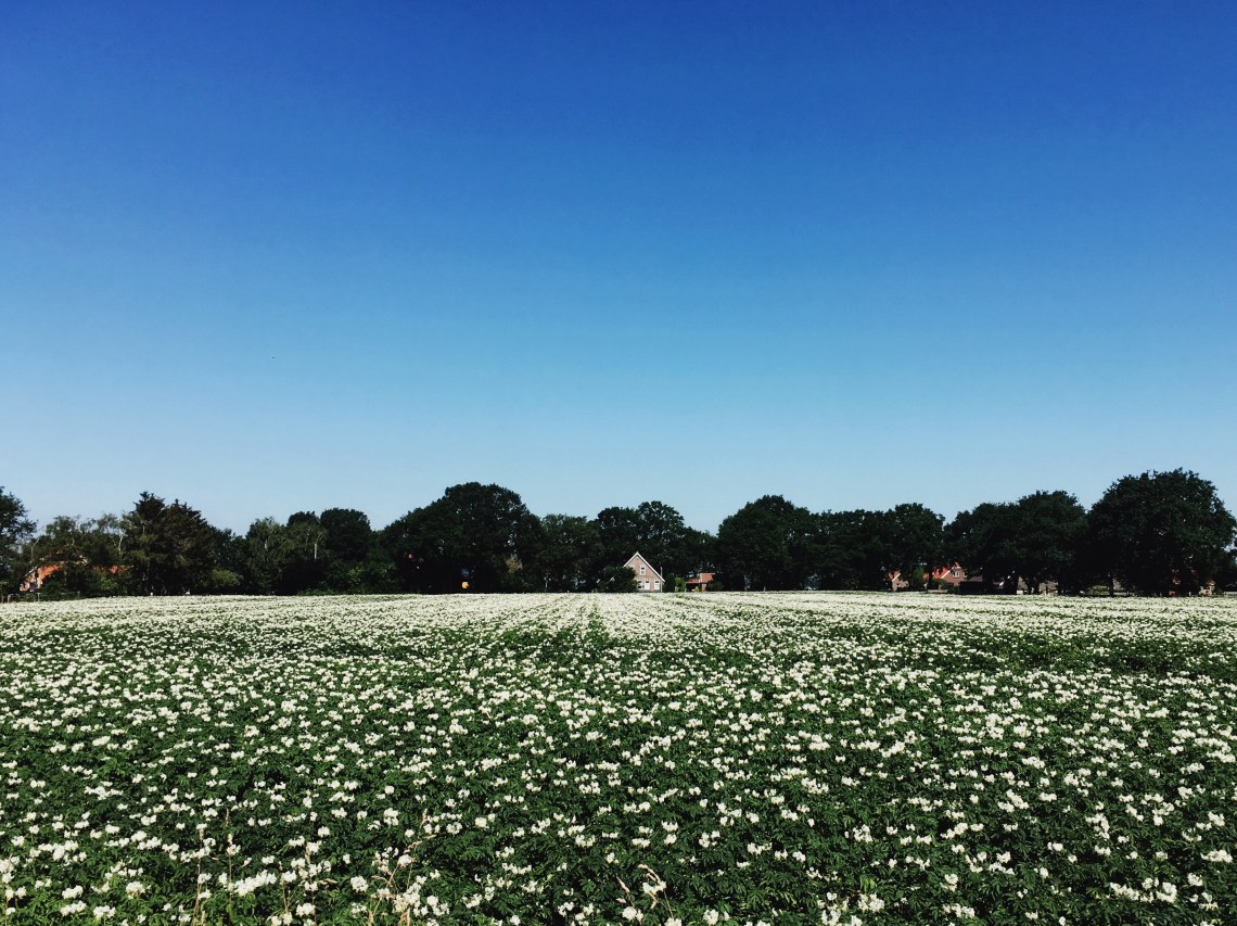 Processed with VSCO with 4 preset