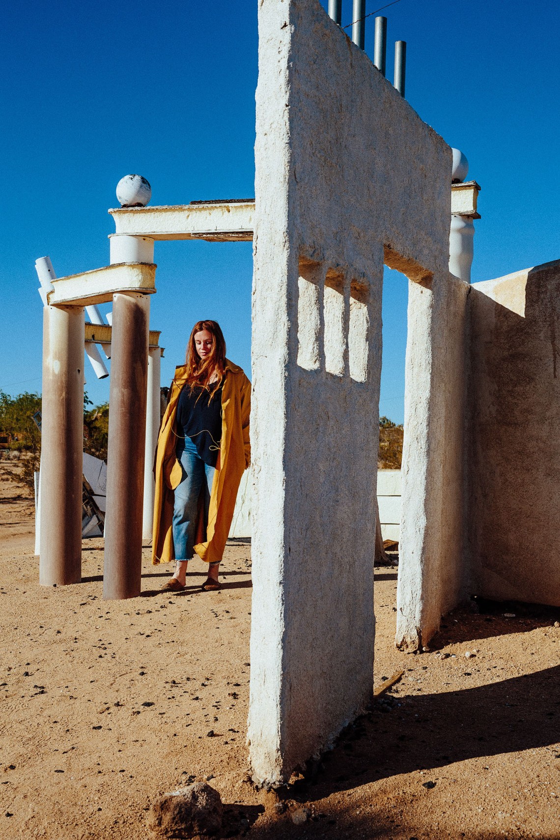 181017_Abbott_Jtree_052