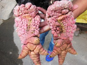 be4fb7a028d429b55f7e0dfb85a8d325