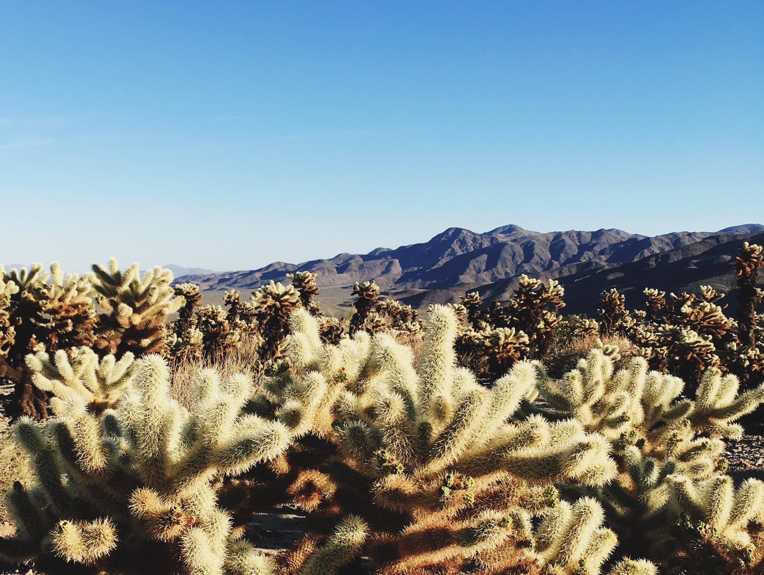 Processed with VSCO with 4 preset