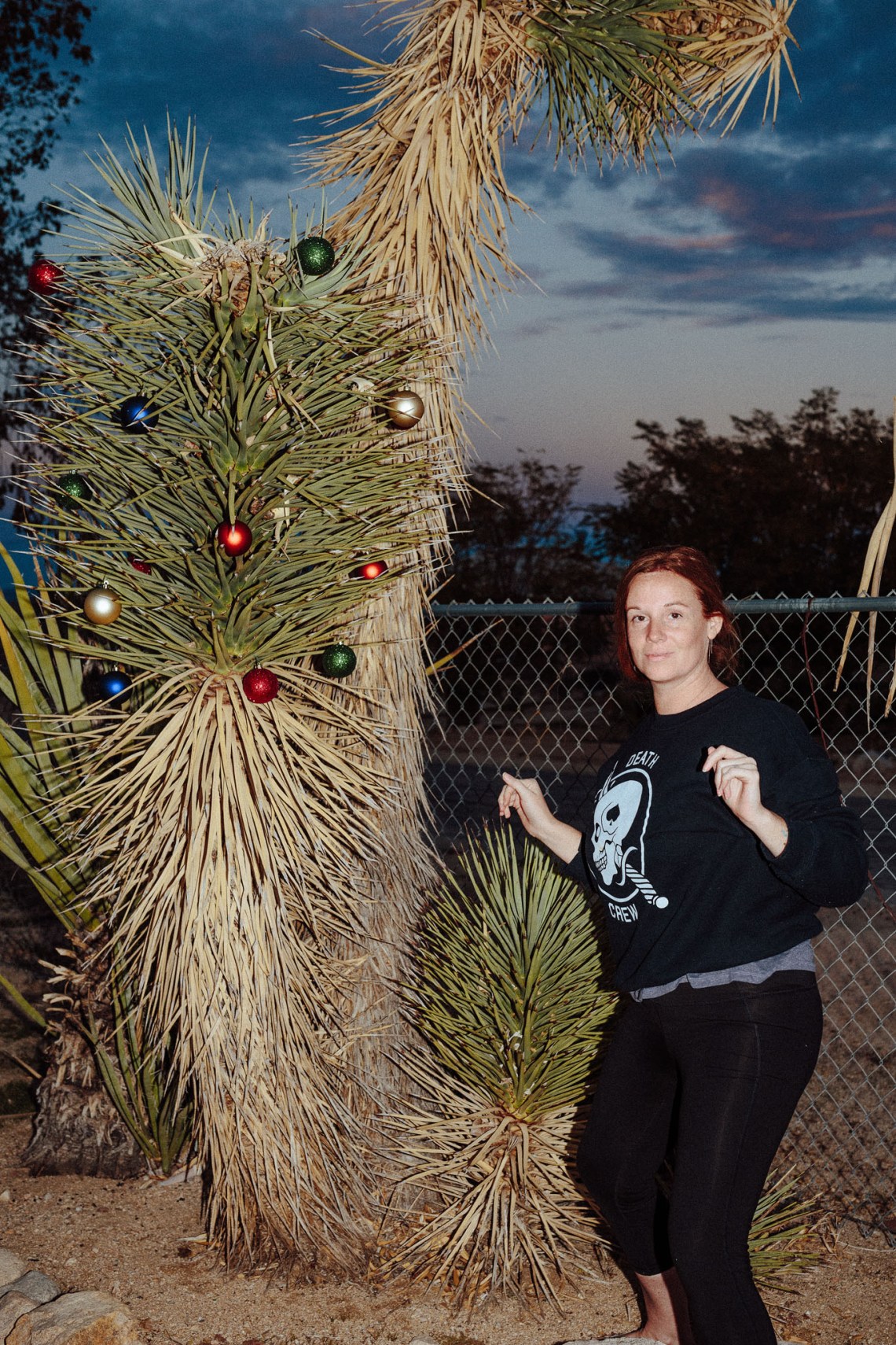 181109_Abbott_Joshua_Tree_264.jpg