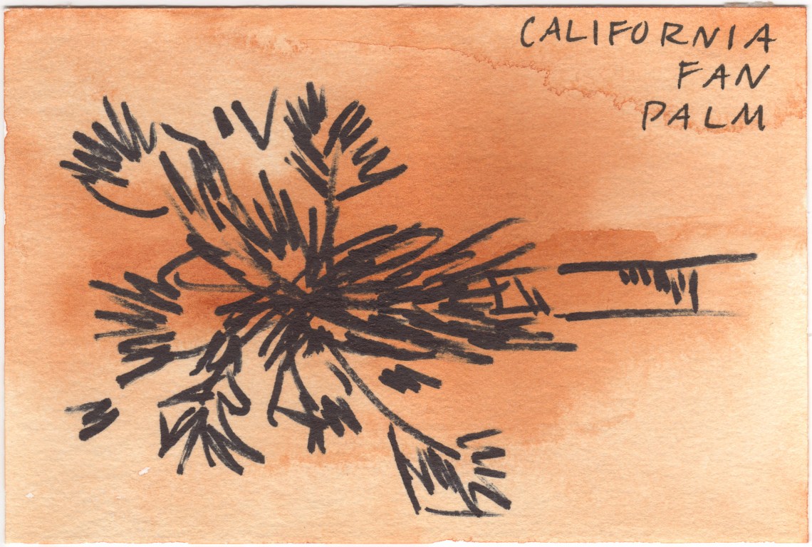 Court_Desert_Postcards__6