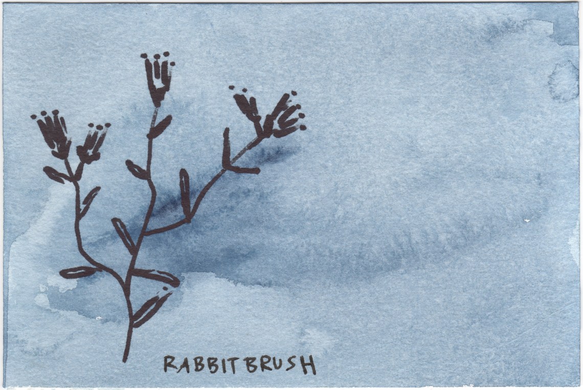 Court_Desert_Postcards__7