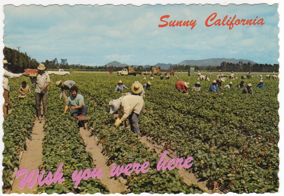 Postcard I.jpg
