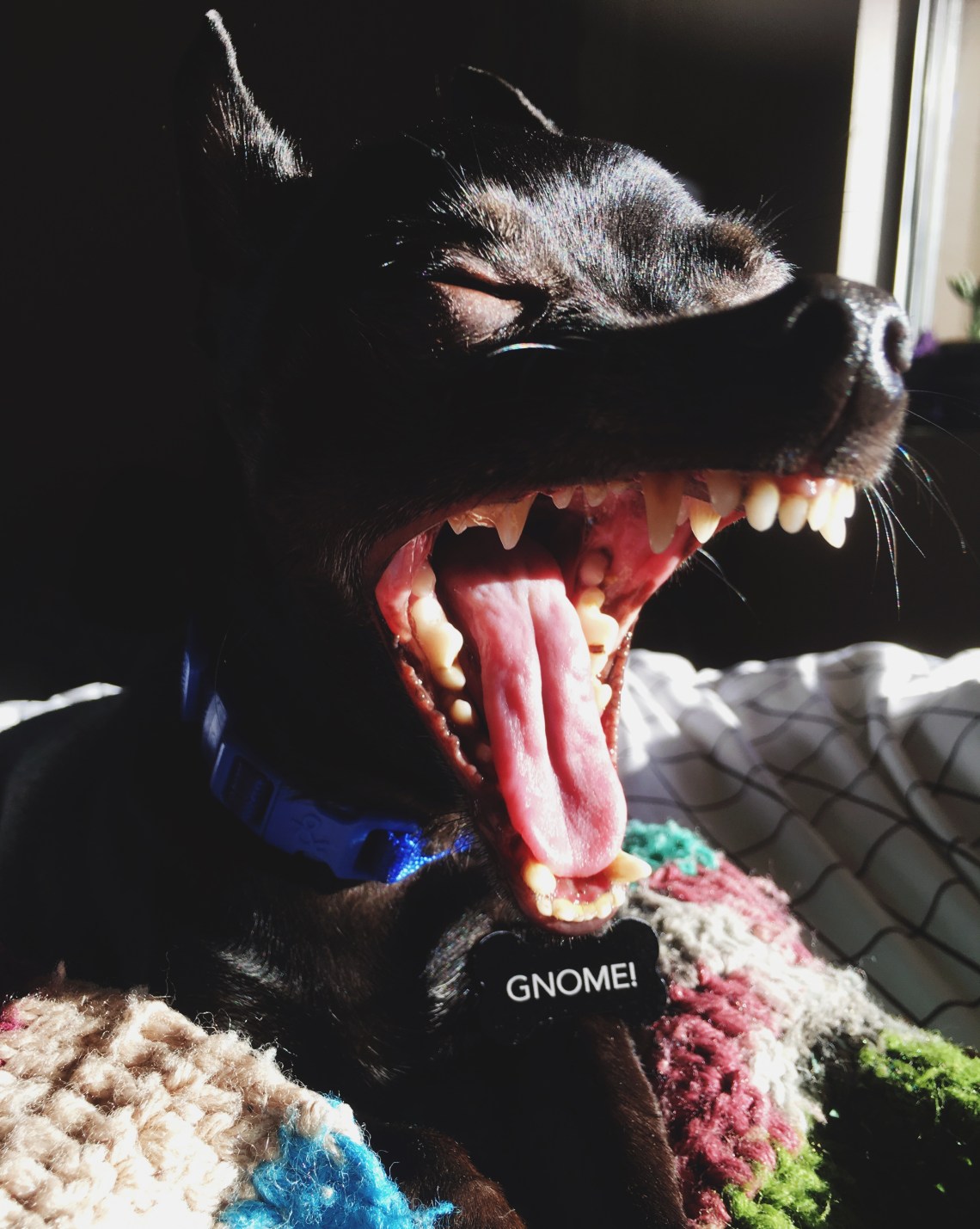 Processed with VSCO with 4 preset