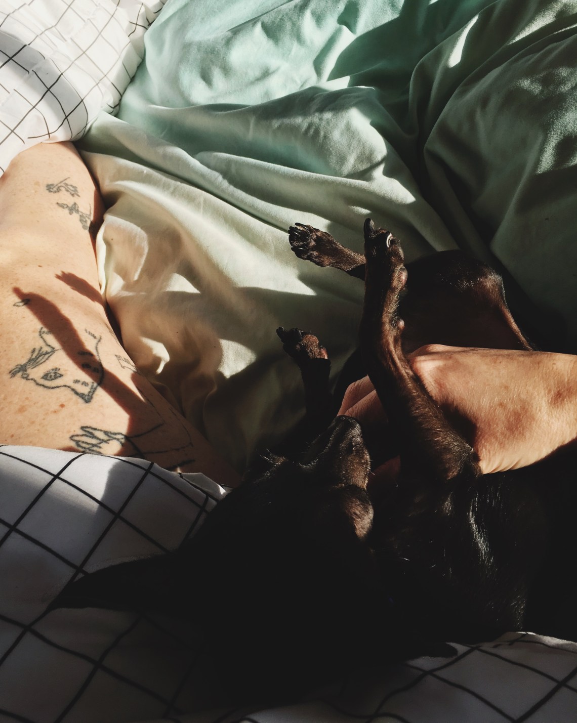 Processed with VSCO with 4 preset