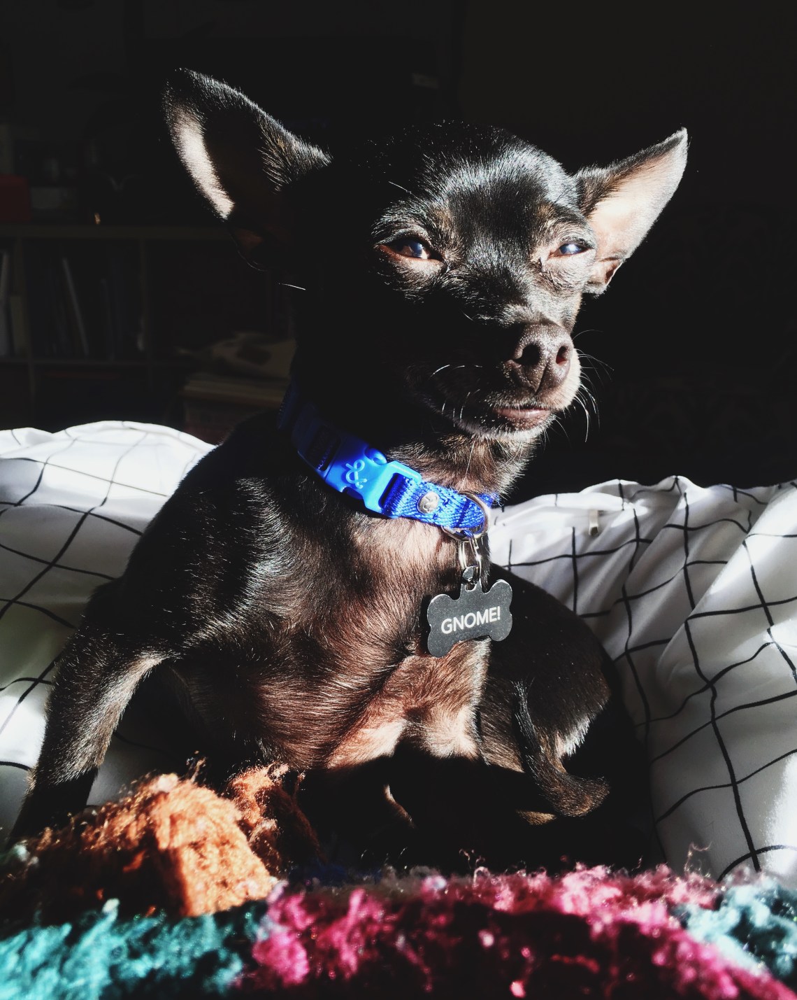 Processed with VSCO with 4 preset