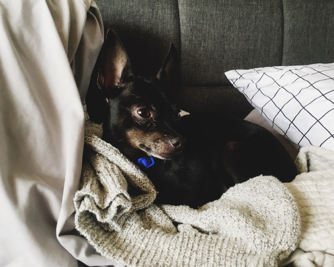 Processed with VSCO with 4 preset