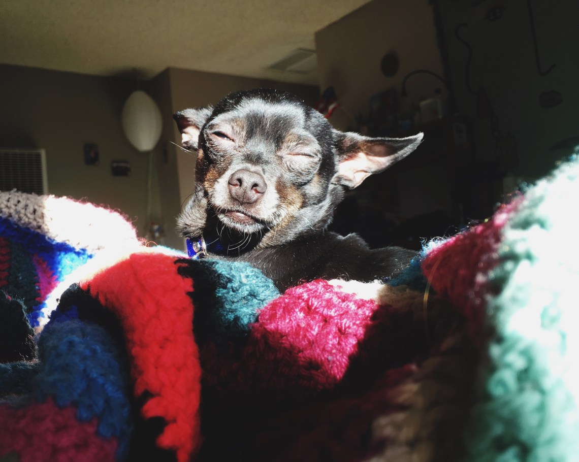 Processed with VSCO with 4 preset