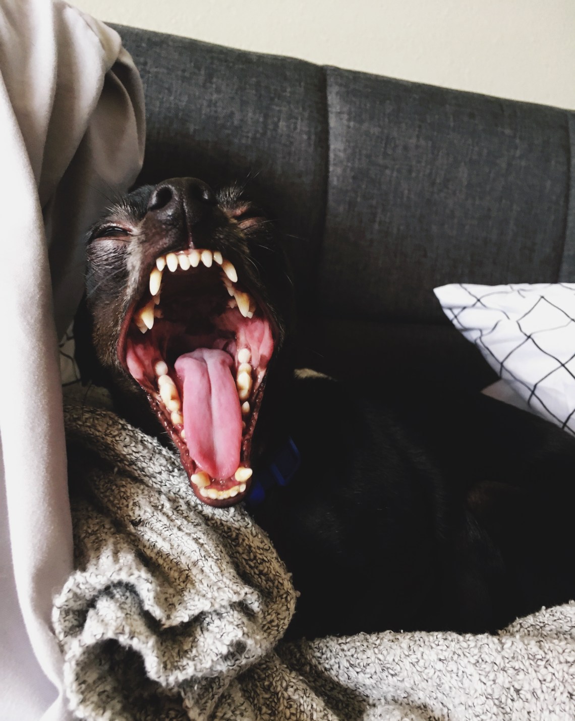 Processed with VSCO with 4 preset