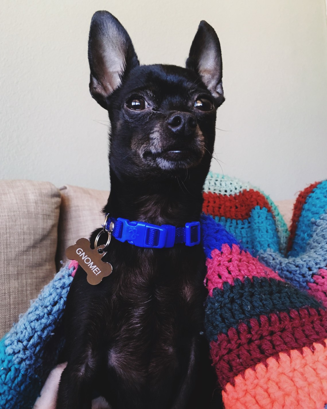 Processed with VSCO with 4 preset