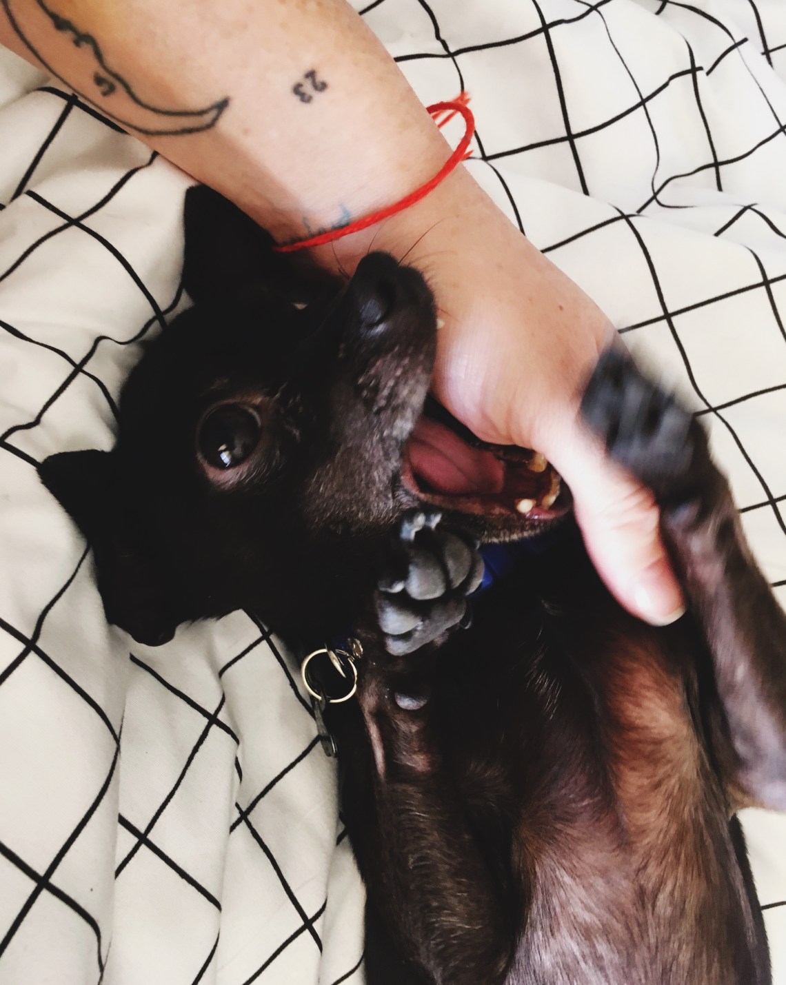 Processed with VSCO with 4 preset